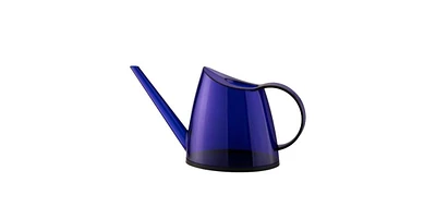 Small Watering Can with Long Slim Spout for Indoor Plants