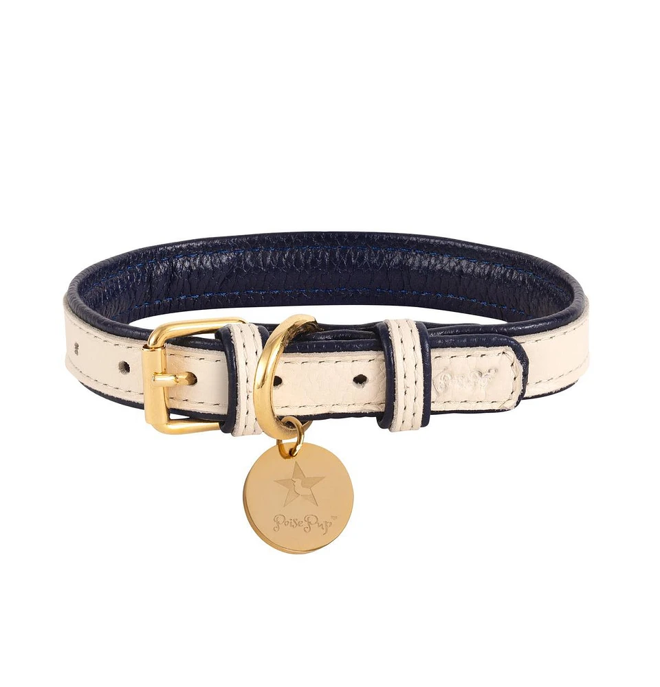 PoisePup Pet Dog Collar - Hot Marine
