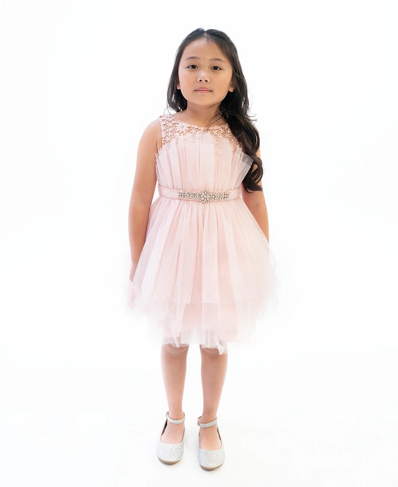 Rare Editions Toddler Girls Sleeveless Illusion and Mesh Party Dress