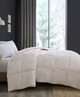 Madison Park Heavy Warmth Goose Feather & Down Filling Comforter
