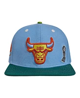 Men's Pro Standard Light Blue, Green Chicago Bulls Retro Program 2-Tone Snapback Hat