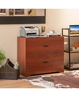 2-Drawer Wood Lateral File Cabinet with Adjustable Bars for Home Office