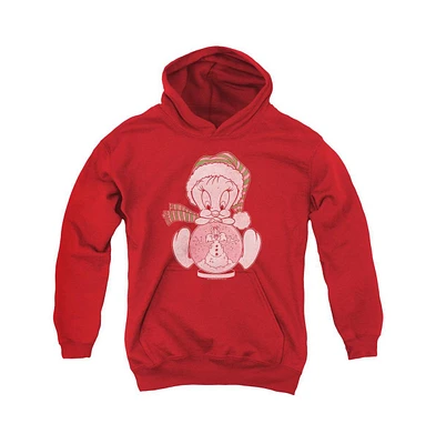 Looney Tunes Youth Tweey Globe Pull Over Hoodie / Hooded Sweatshirt