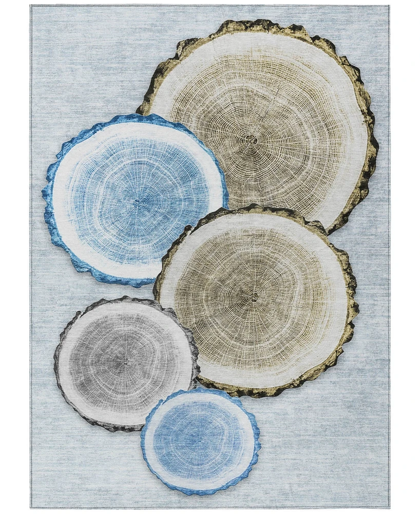 Addison Chantille Machine Washable ACN575 3'x5' Area Rug