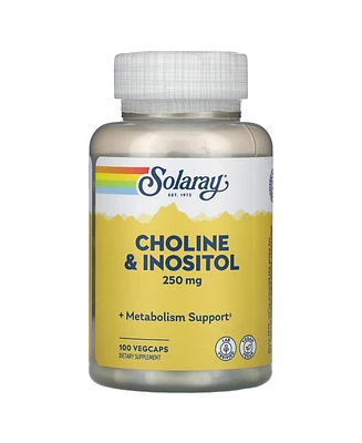 Solaray Choline & Inositol 250 mg | Two-Nutrient Combo for Healthy Fat Metabolism, Brain