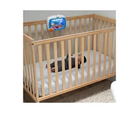 Baby Einstein Sea Dreams Soother Crib Toy