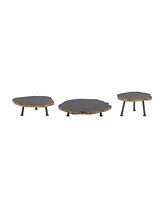 Tree Disc Pedestal Tray Set – Natural Wood Riser Stands for Rustic Centerpiece or Display Decor