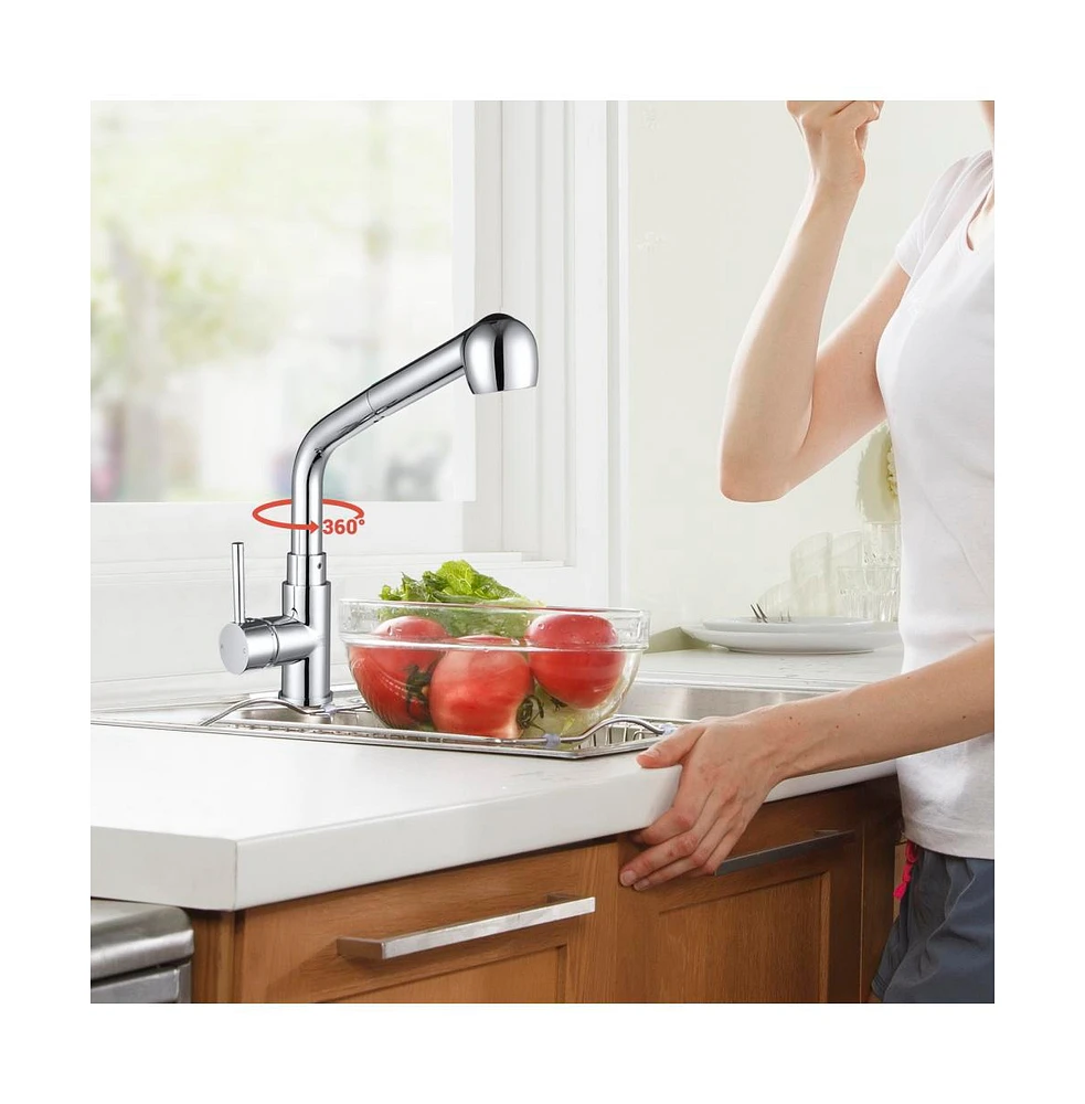 Stainless Steel Kitchen Sink Faucet Pull Out Dual Function Mixer Taps 1 Handle Long Neck