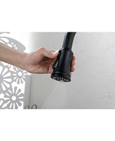 Brushed Nickel Pull Out Kitchen Faucet with Pull Down Sprayer