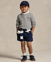 Polo Ralph Lauren Toddler and Little Boys Cable-Knit Cotton Sweater