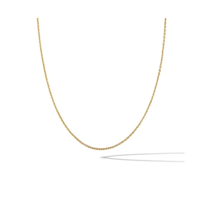 Vincero Women's Rolo Chain Necklace in 14k Gold-Plated Sterling Silver with Extender
