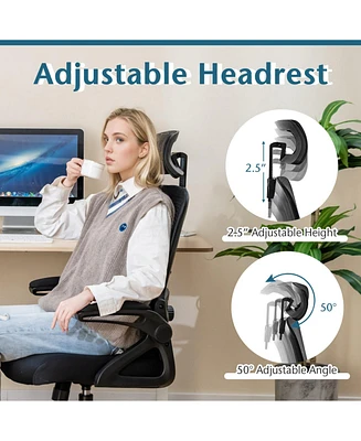 Adjustable Swivel Task Chair Ergonomic Office Chair with Adjustable Lumbar Support