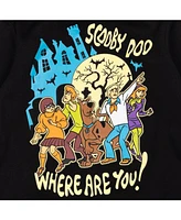 Scooby Doo Toddler Boys Warner Bros. Fleece Pullover Hoodie