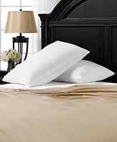 Ella Jayne Simple Comfort Down Alternative 2-Pack Pillow, Standard
