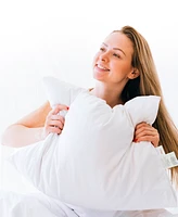 Cheer Collection Soft and Plush Bed Pillow Insert