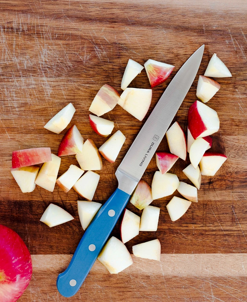 Dura Living 4-Piece Starter Knife Set