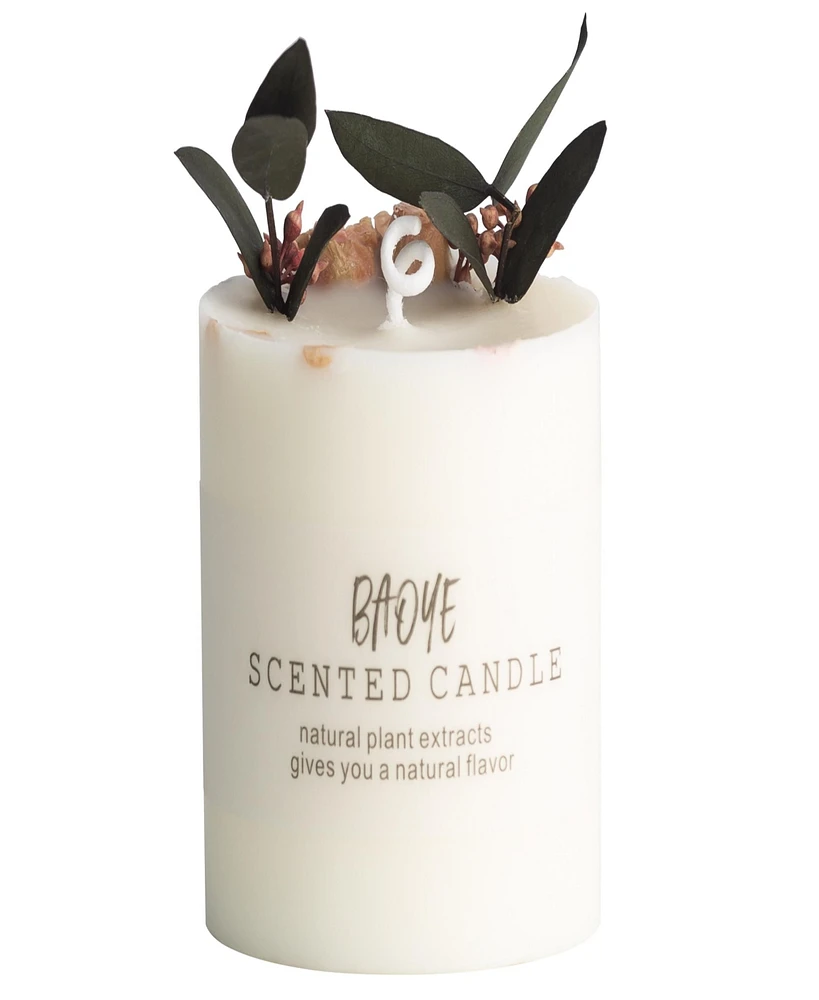 Ventray Scented candles made with Plant Essential Oil, Natural soy wax & lead-free cotton wicks, 9.5 oz