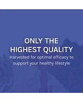 Host Defense Stamets 7 - 7 Species Blend - Mushroom Supplement for Immune Support