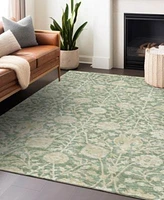Addison Chantille Machine Washable Acn1086 Area Rug Collection