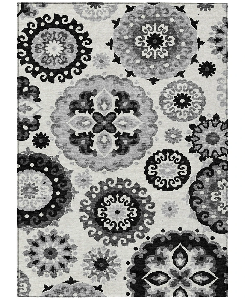 Addison Chantille Machine Washable ACN763 3'x5' Area Rug