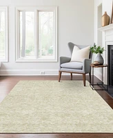 Addison Chantille Machine Washable ACN782 3'x5' Area Rug