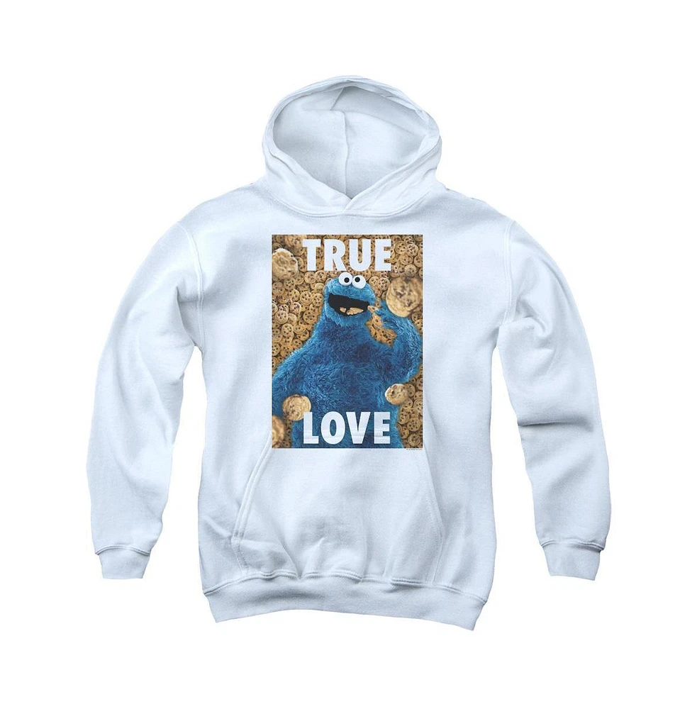Sesame Street Youth Beautiful Cookies Pull Over Hoodie