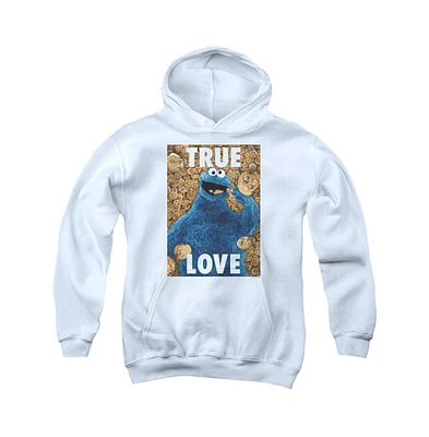 Sesame Street Youth Beautiful Cookies Pull Over Hoodie