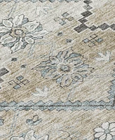 Addison Chantille Machine Washable ACN841 2'3"x7'6" Runner Area Rug