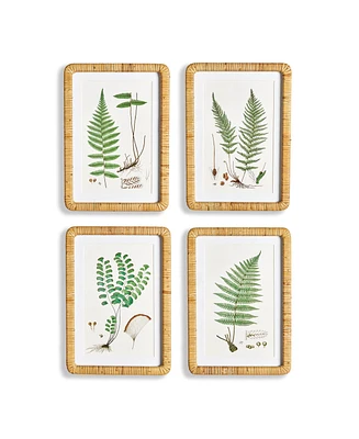 Forest Fern Prints Set of 4