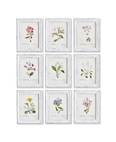 Garden Meadow Study Set of 9