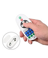 DELight Del-CON01 2 Pack Controller with 23-Key Remote for Neon Lights Models Del-D50W, Del-D100W