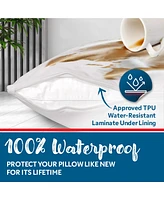 Waterproof Zippered Pillow Protector - Queen Size - 2 Pack
