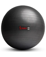 Sunny Health & Fitness Premium Yoga Ball Large 75CM with Pump