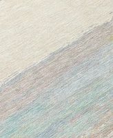 Addison Chantille Machine Washable ACN1283 9'x12' Area Rug