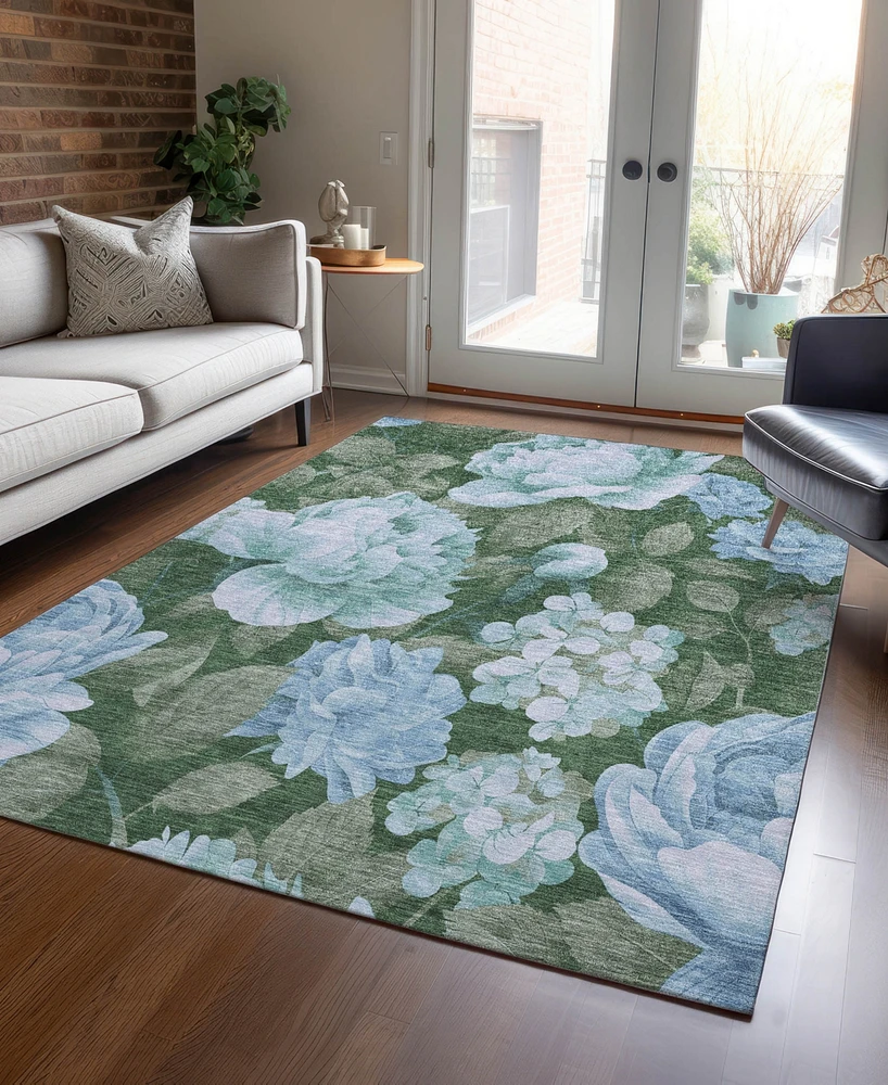 Addison Chantille Machine Washable ACN1566 2'6"x3'10" Area Rug