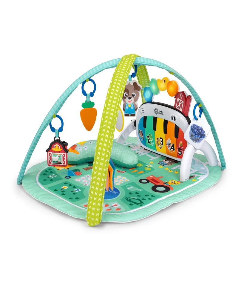 Baby Einstein 4-in-1 Kickin' Tunes Music and Language Discovery Gym