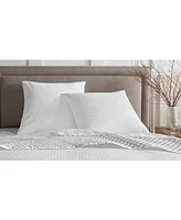 Charter Club Diamond Dot 300 Thread Count Sham, European, Exclusively at Macy's