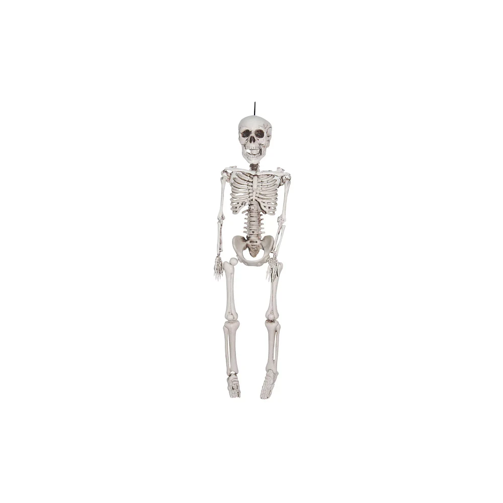 20 In Plastic Skeleton