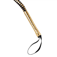 Ringmaster Whip