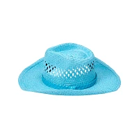 Blue Straw Cowboy Hat