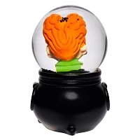 Winifred Sanderson Snow Globe - Hocus Pocus