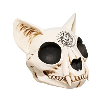 Mystical Arts Cat Skull