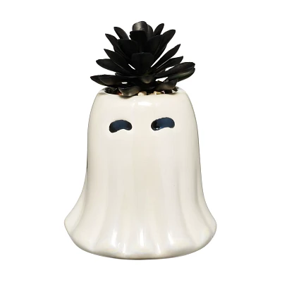 White Ghost Faux Succulent