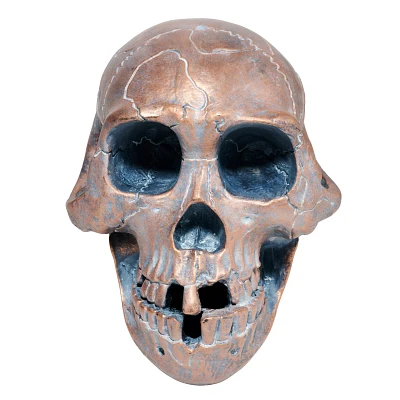 Resin Skull