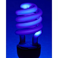 Black Light 22 Watt CFL Bulb