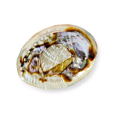 Abalone Shell Smudge Bowl