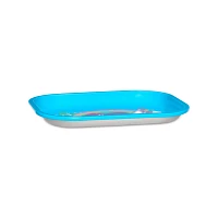 Care Bears Tray