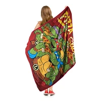 Teenage Mutant Ninja Turtles Nice Slice Fleece Blanket