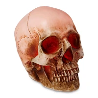 LED Skull Light