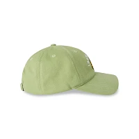I Hate Mondays Dad Hat - Garfield